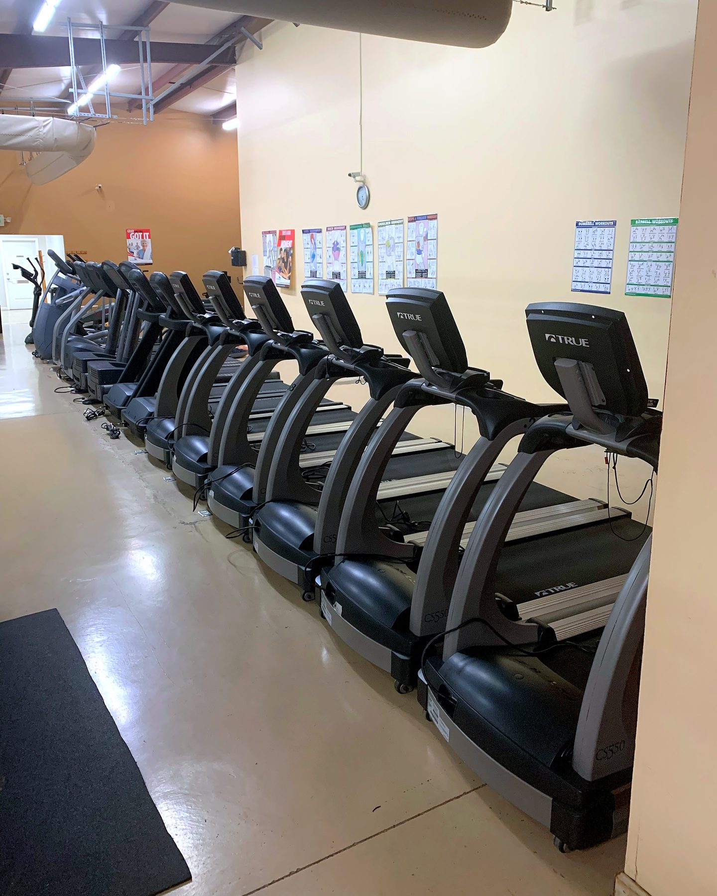 A long row of TRUE treadmills